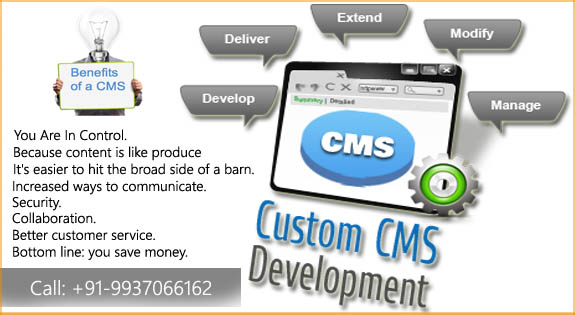 cms website designing company bhubaneswar odisha india